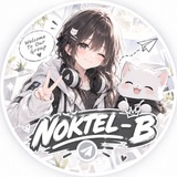 NOKTEL - B