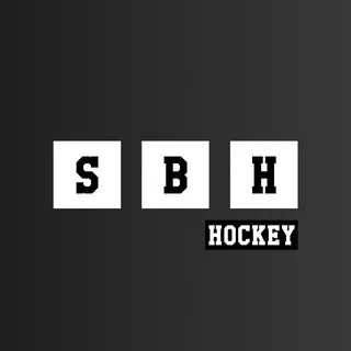 Strategic Betting Hub | Hockey