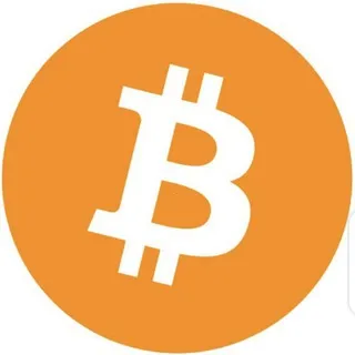 BEST BITCOIN INVESTOR