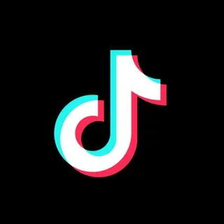 TikTok Video Saver