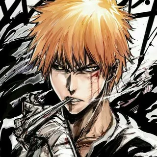 Bleach 480p