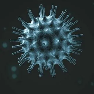 Coronavirus News