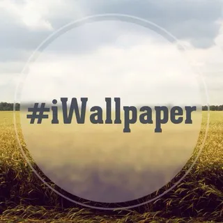 📱 iWallpaper | Обои для смартфона