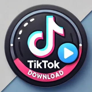 TikTok Video Downloader | Instagram