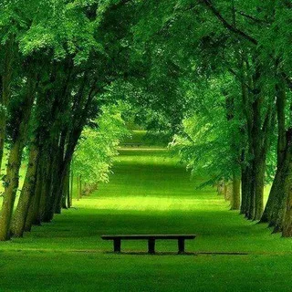 مجله اسرار روانشناسی