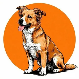 Абрикосовая собака🐕🐩🦮животные с юмором.