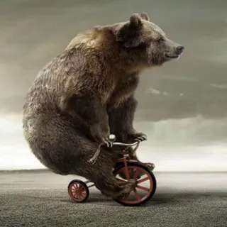 BEARlogin