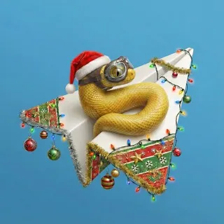 Python