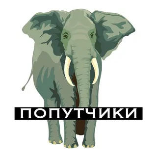 Шри-Ланка (попутчики) ☕️🥥🐘