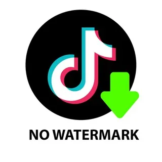 TikTok or Douyin Downloader