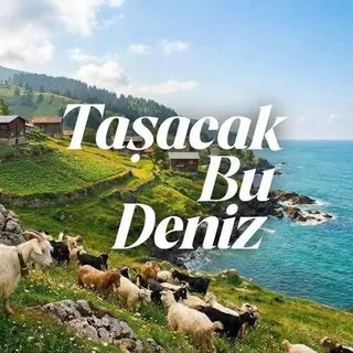 Taşacak Bu Deniz