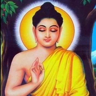 Budda🗿