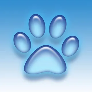 🐾PatiPatim🐾 🤖