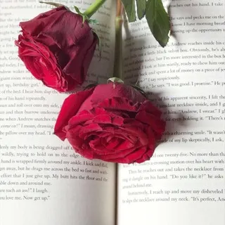 قناة تعليم اللغه الانجليزيه 📚🖊.