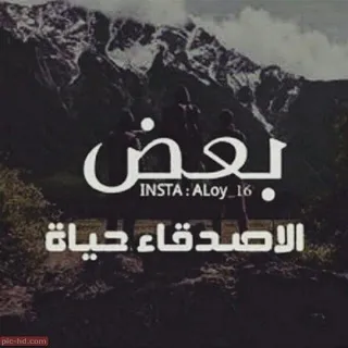 عبارات عن الصداقة