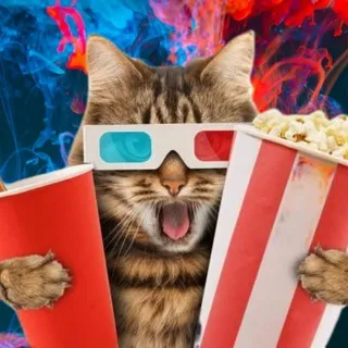 Filmes e Séries Lançamentos Diários!🍿🍿
