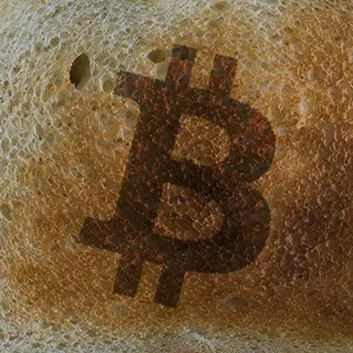 Cripto Tostadora