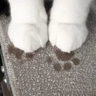 桃大王の奇思妙想 >^v^<