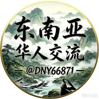 东南亚华人交流群