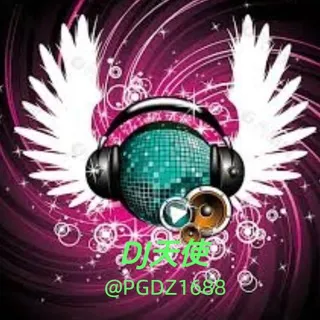 DJ 天使【东南亚包厢 DJ音乐 上头曲】