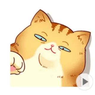 貓七的GIF動圖📊LINE貼圖頻道