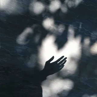鸡秀 🐥