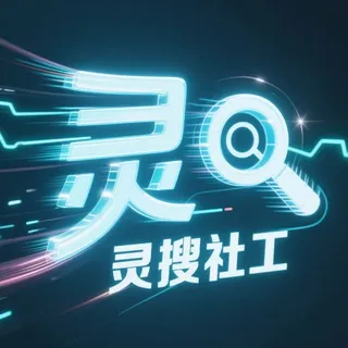 灵搜人工查询